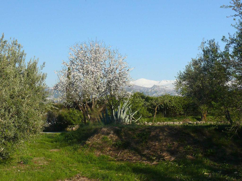 Penzion Cortijo Algabia Alhendín Exteriér fotografie